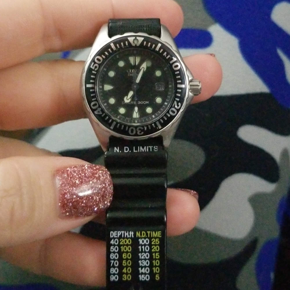 Citizen Eco-Drive Divers 300m Watch 590345